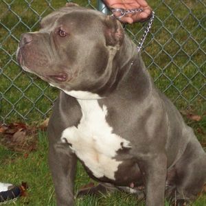 Meet your Posher, Jamar